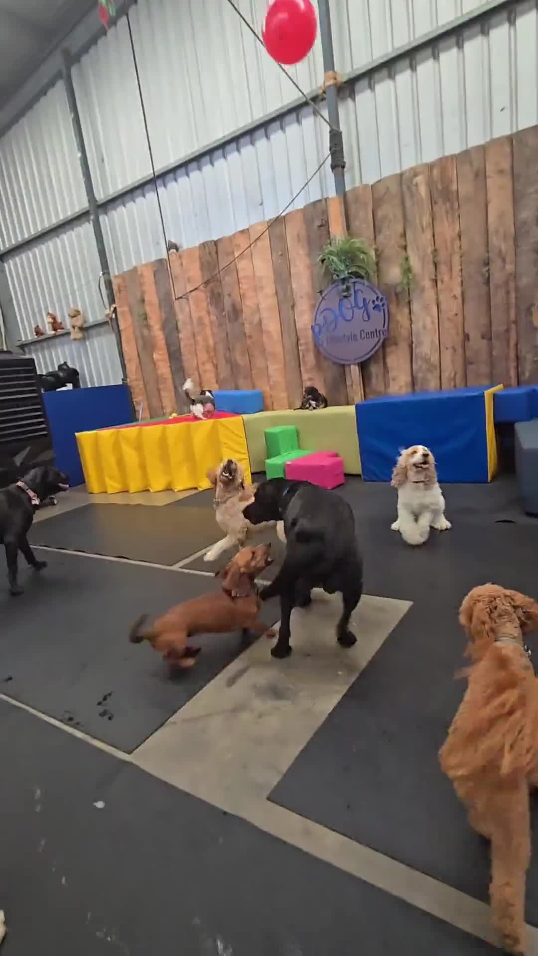 Related Video Item Thumbnail