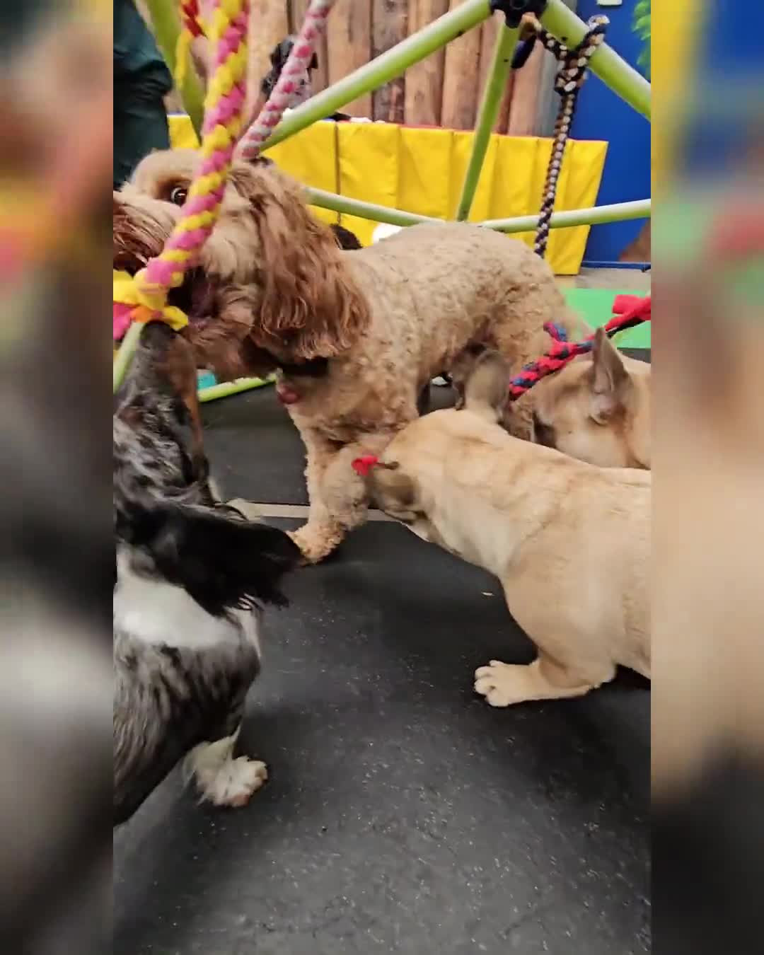 Related Video Item Thumbnail