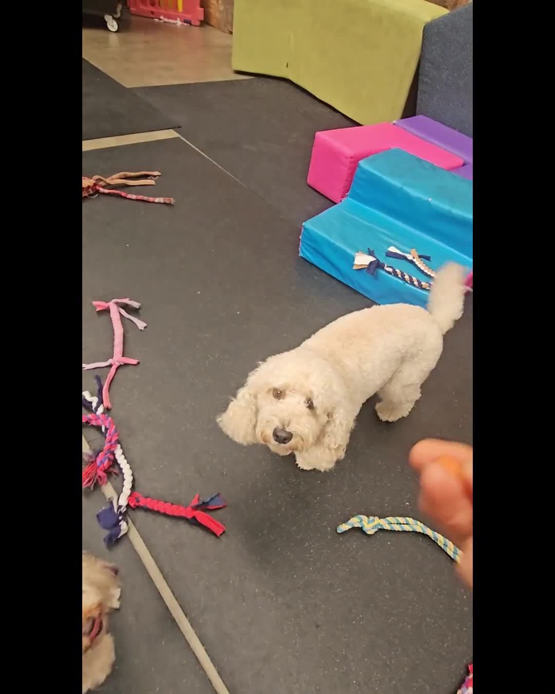 Related Video Item Thumbnail