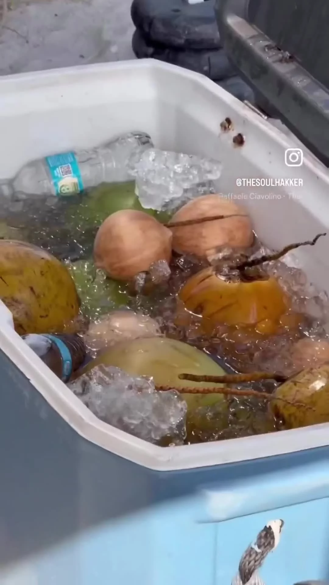 Related Video Item Thumbnail