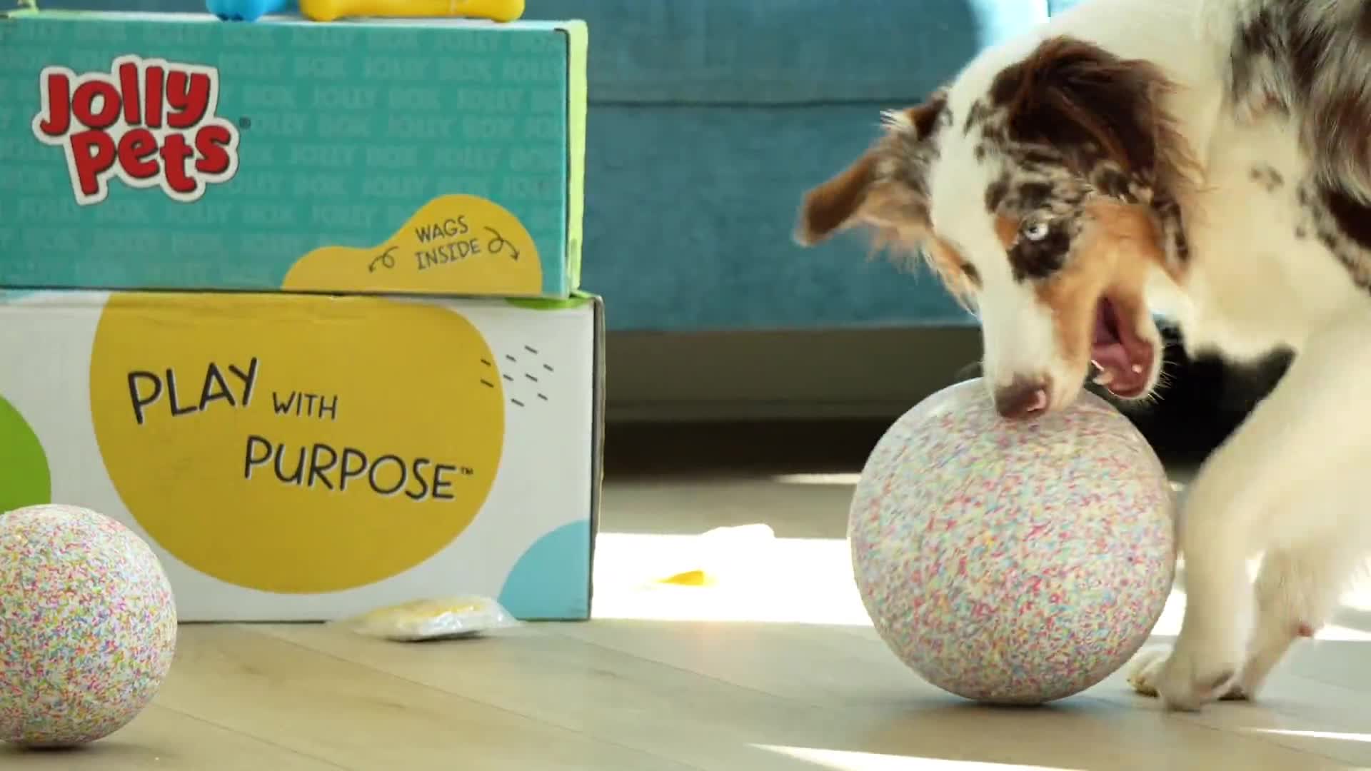 Related Video Item Thumbnail