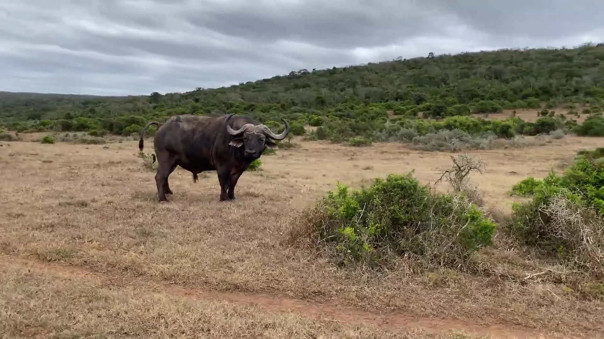 Related Video Item Thumbnail