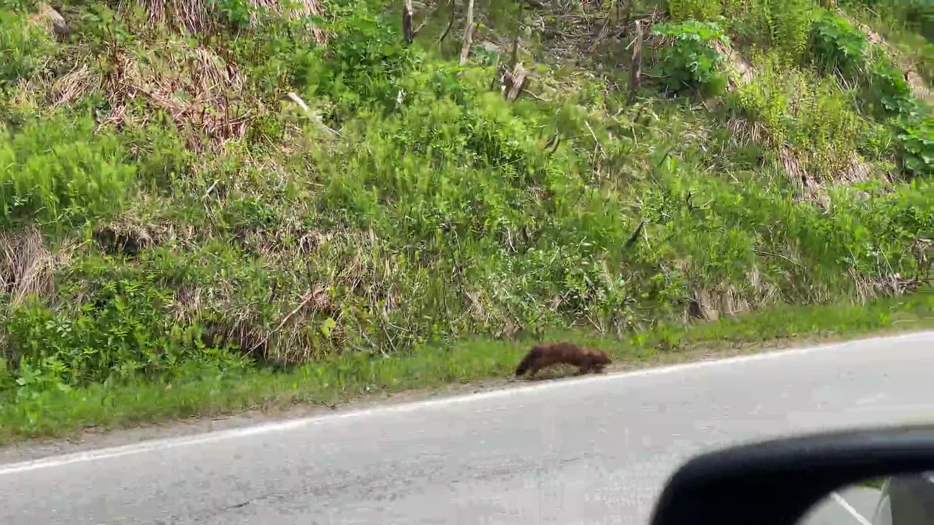 Related Video Item Thumbnail