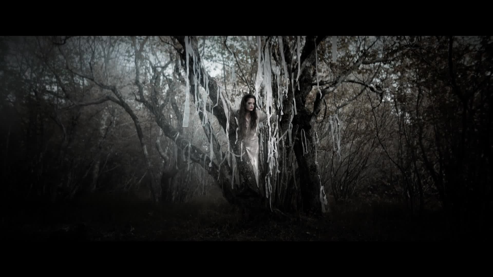 TALCA — Synthesize
