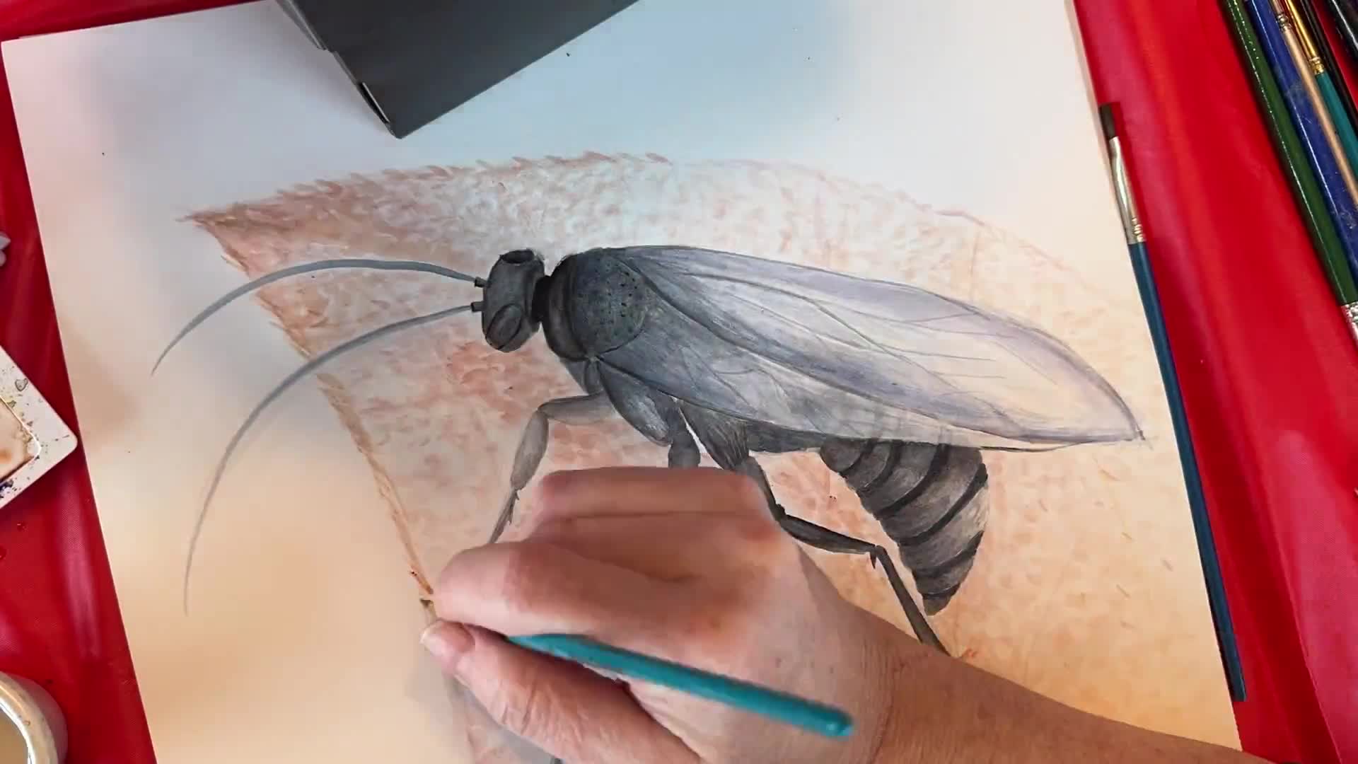 Related Video Item Thumbnail