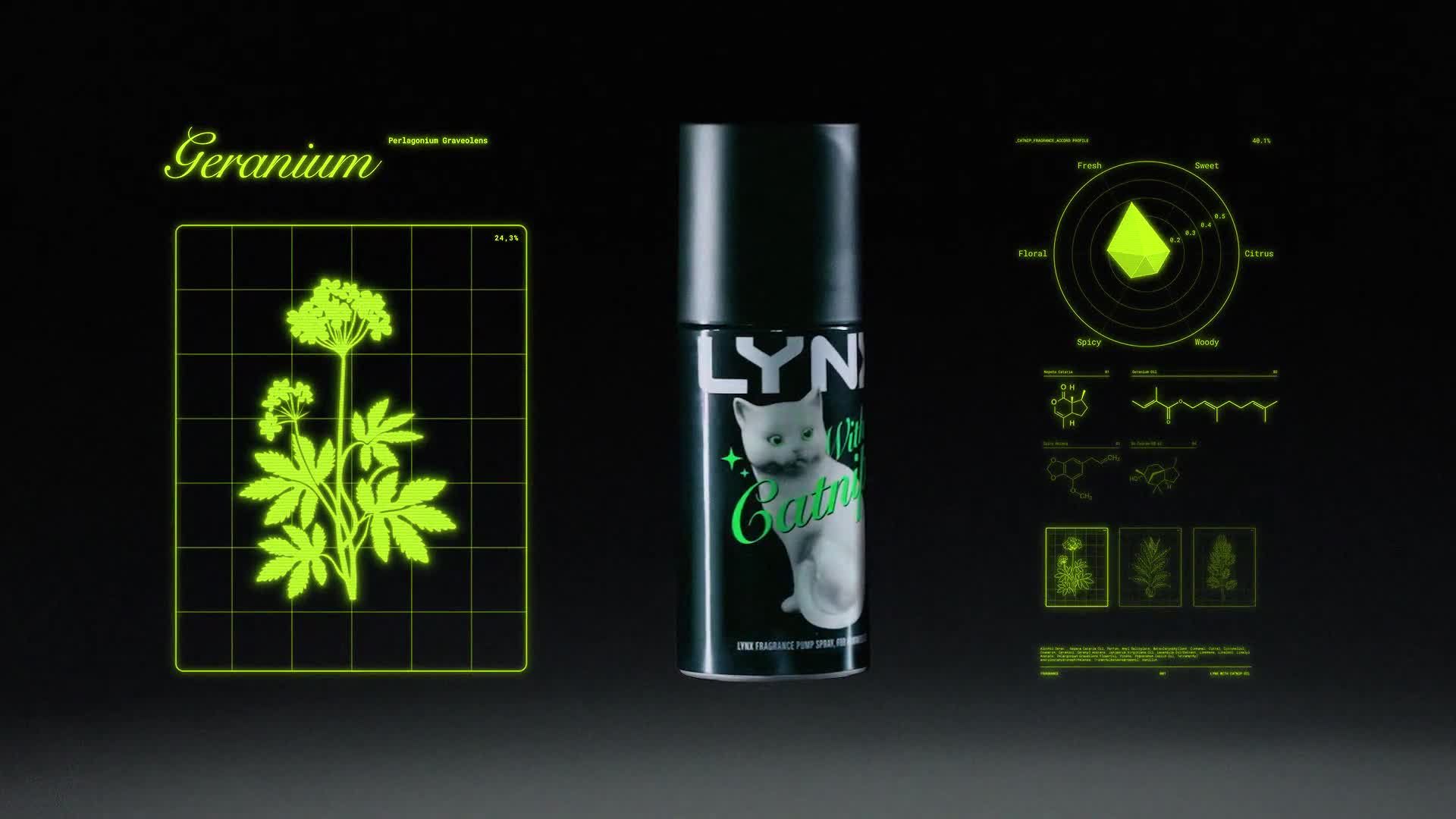Lynx With Catnip | Lynx UK — Josie & Eze's Portfolio | Creative Team