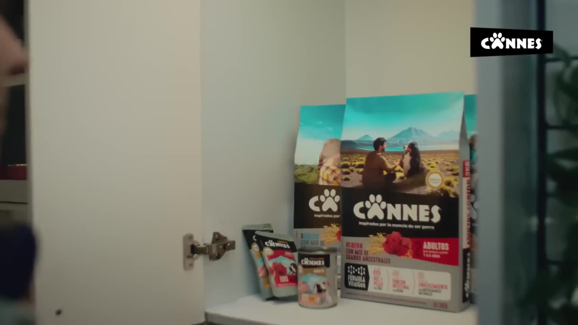 Related Video Item Thumbnail