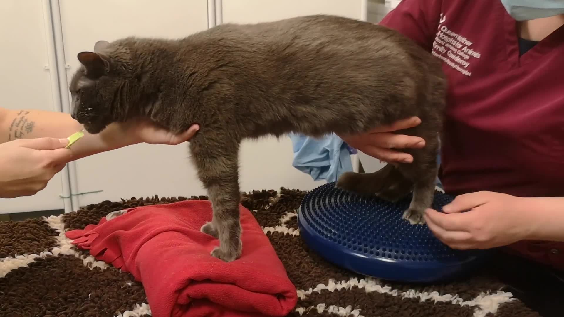 Related Video Item Thumbnail