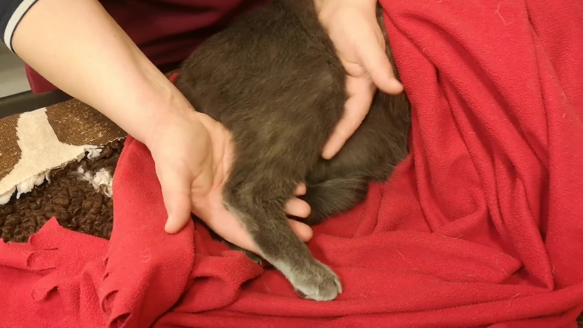 Related Video Item Thumbnail