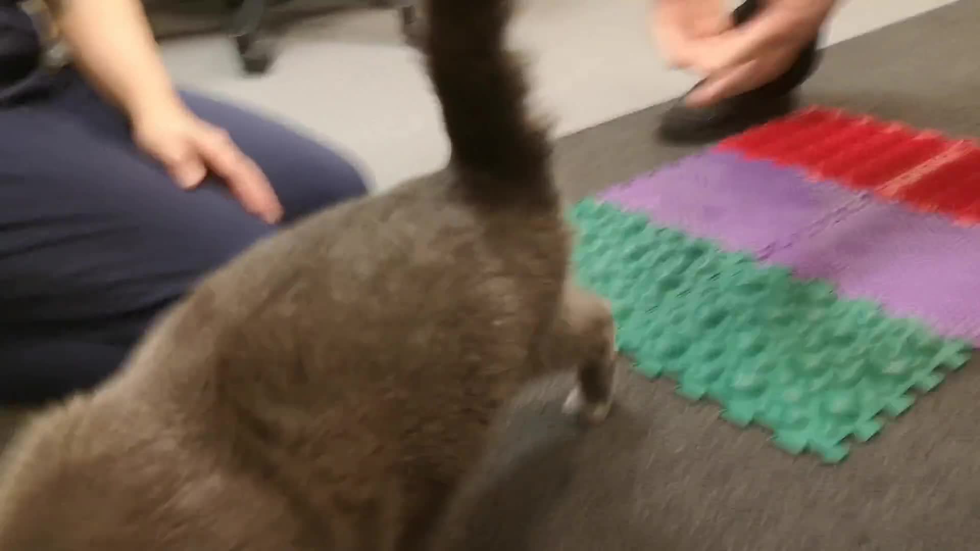 Related Video Item Thumbnail