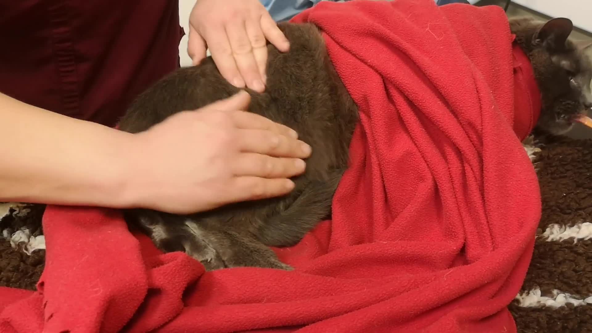 Related Video Item Thumbnail