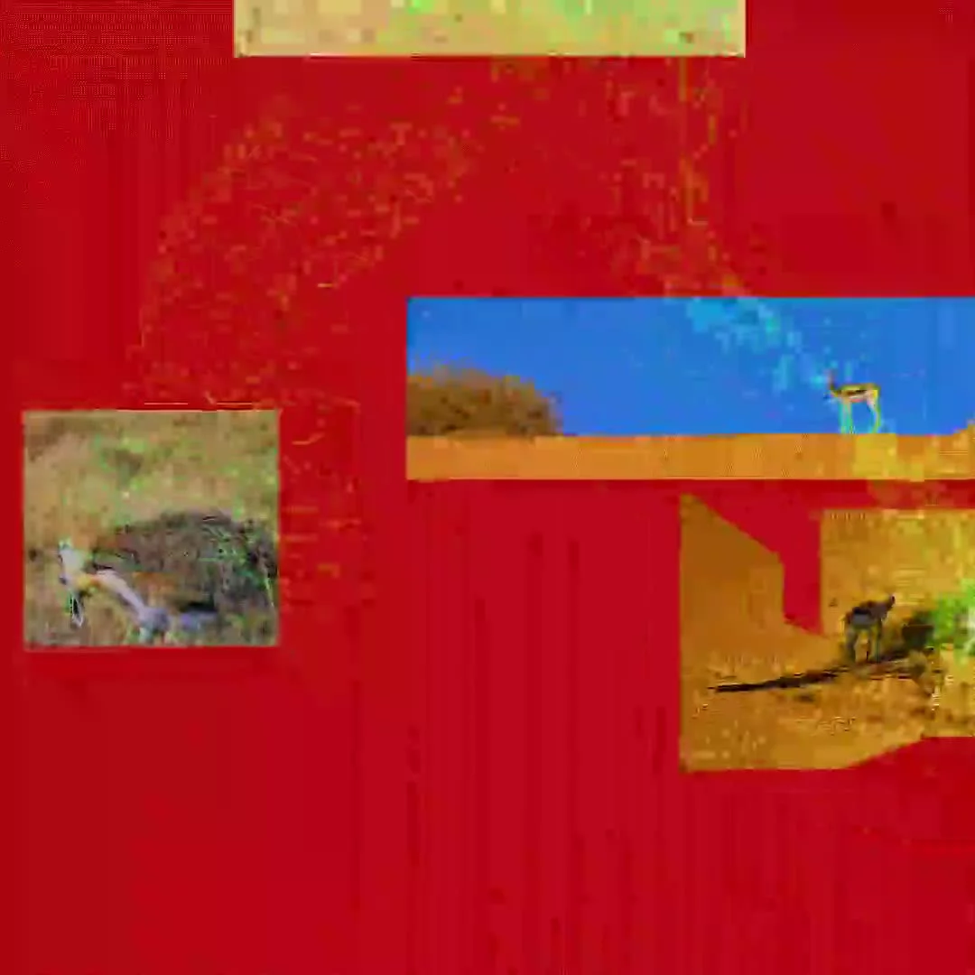 Related Video Item Thumbnail