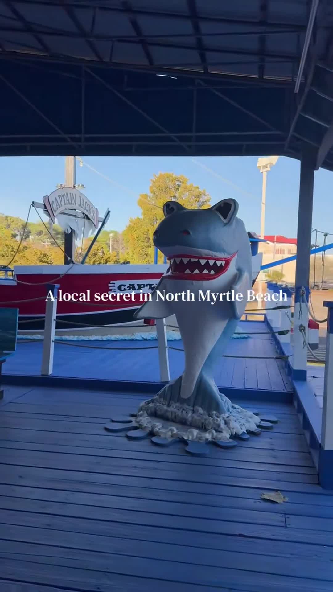 Related Video Item Thumbnail