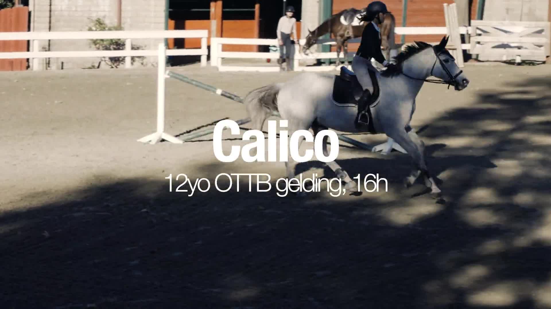 Related Video Item Thumbnail