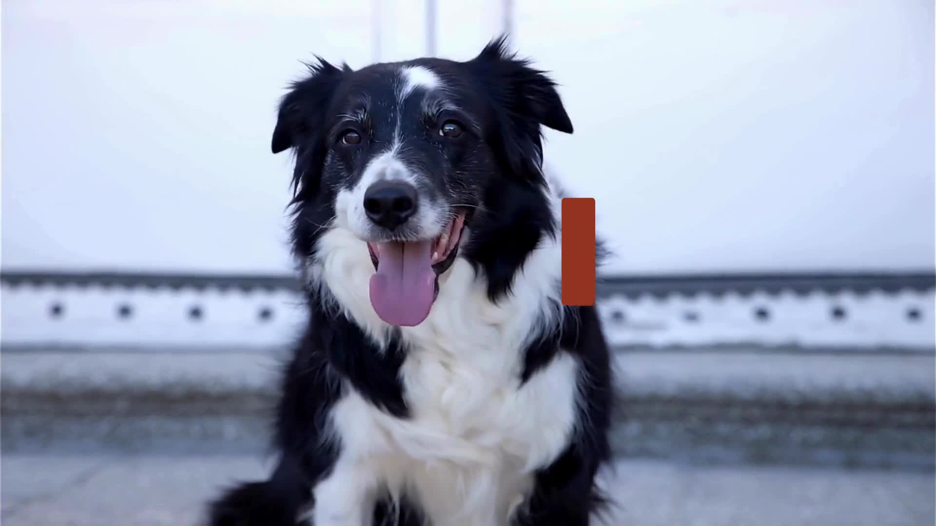 Related Video Item Thumbnail