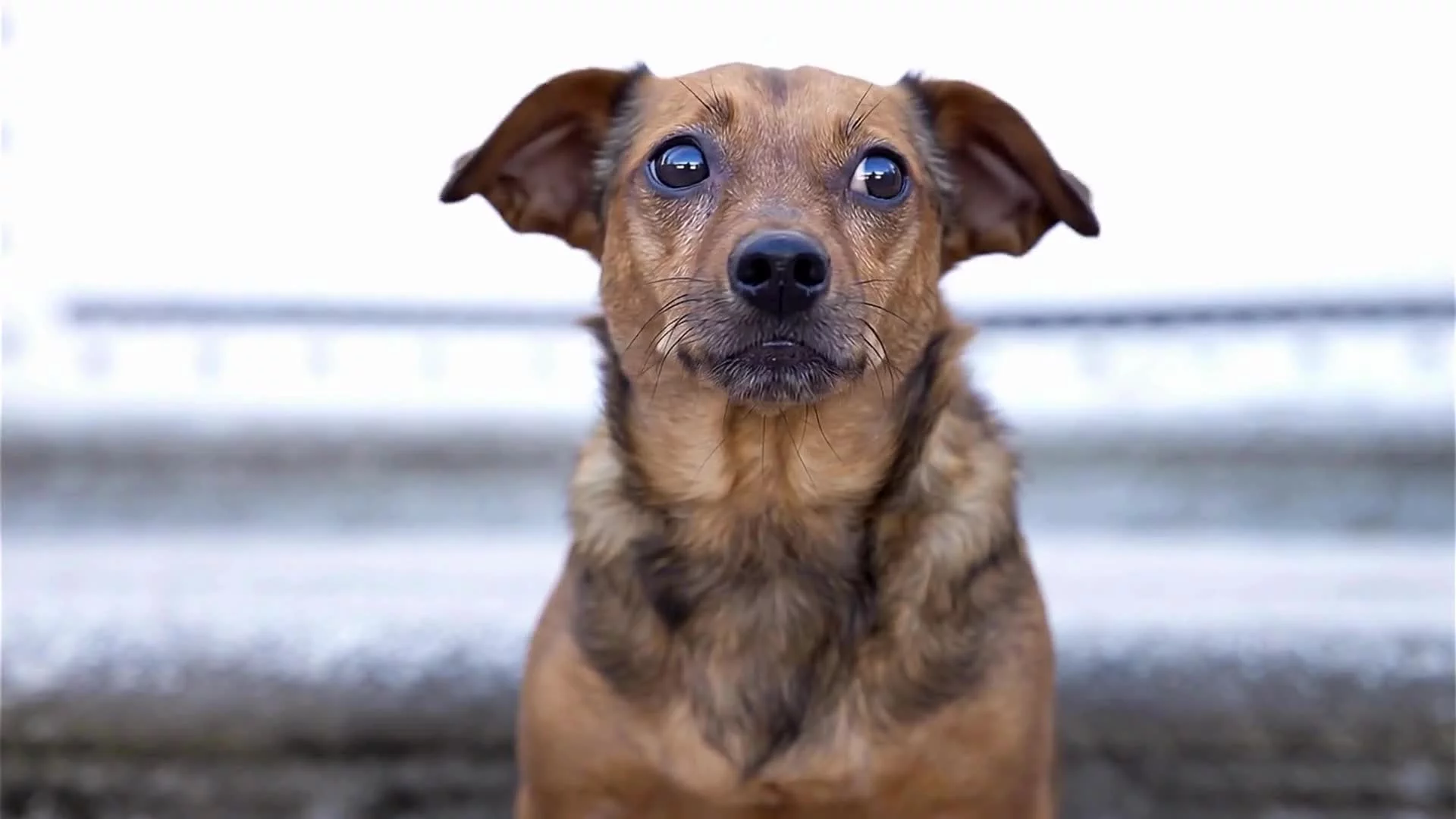 Related Video Item Thumbnail