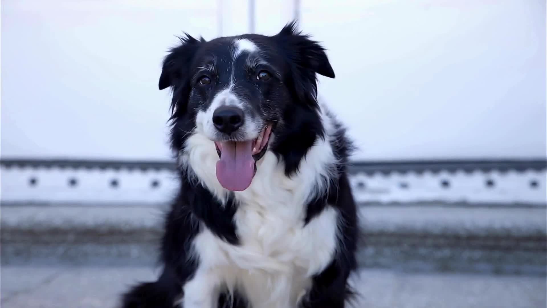 Related Video Item Thumbnail