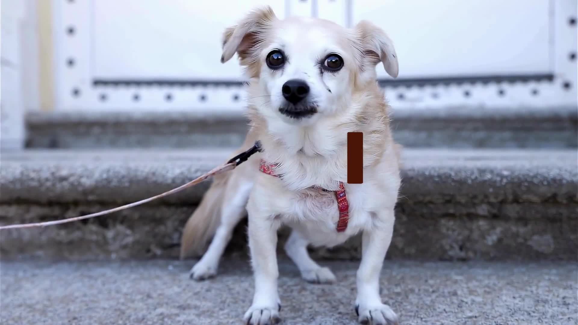 Related Video Item Thumbnail