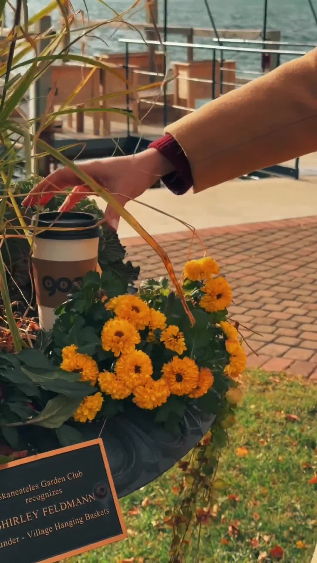 Related Video Item Thumbnail