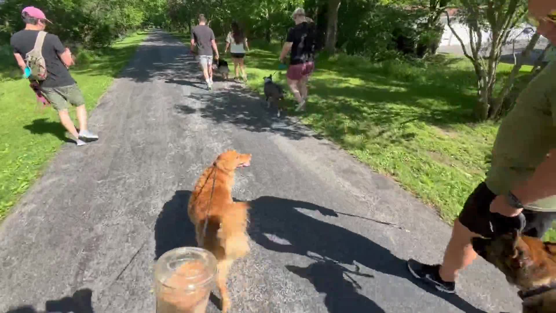 Related Video Item Thumbnail