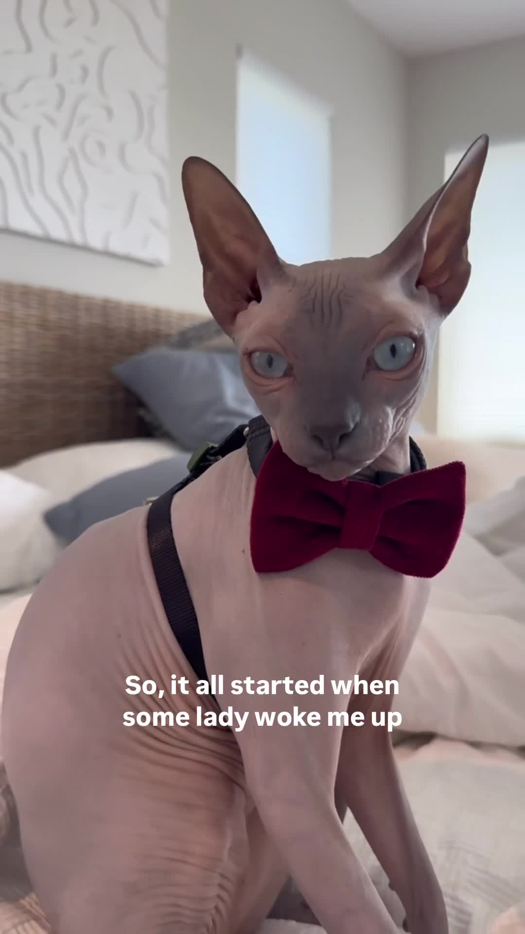 Related Video Item Thumbnail