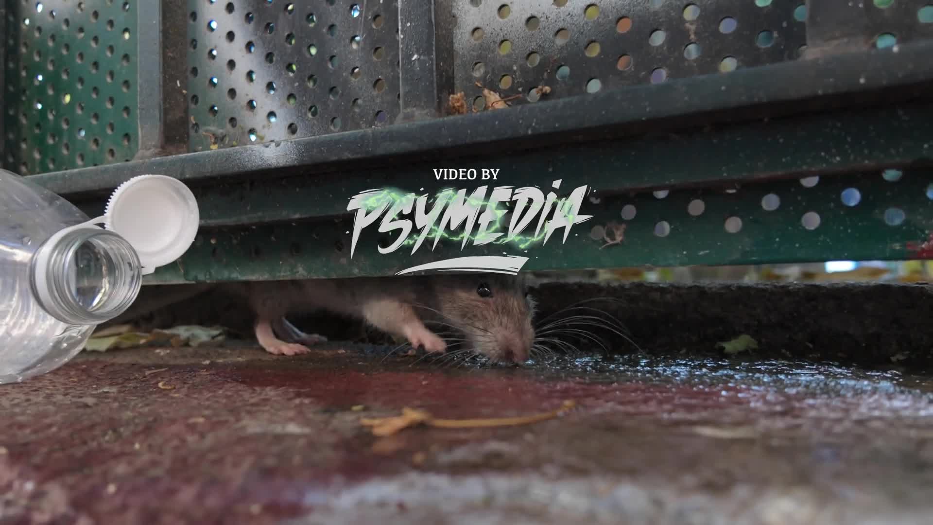 Related Video Item Thumbnail