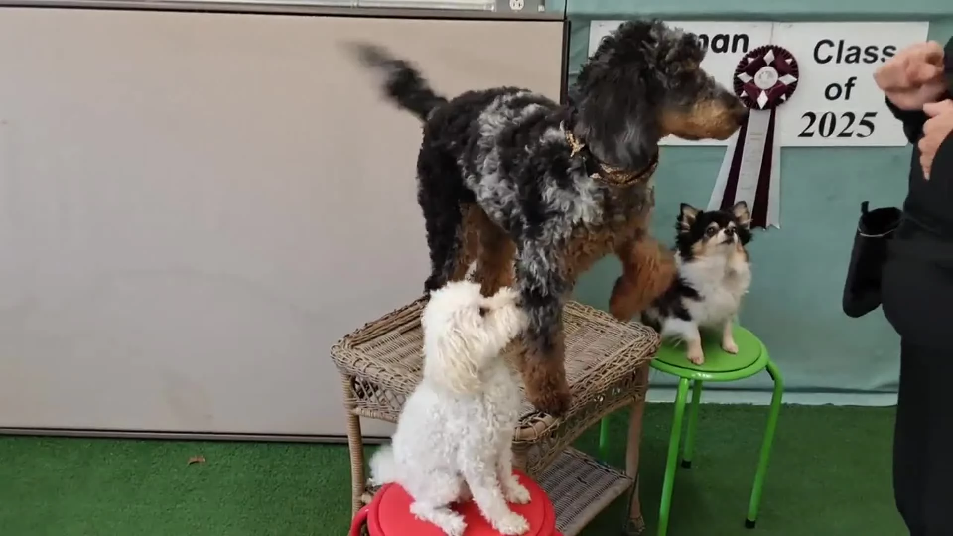 Related Video Item Thumbnail