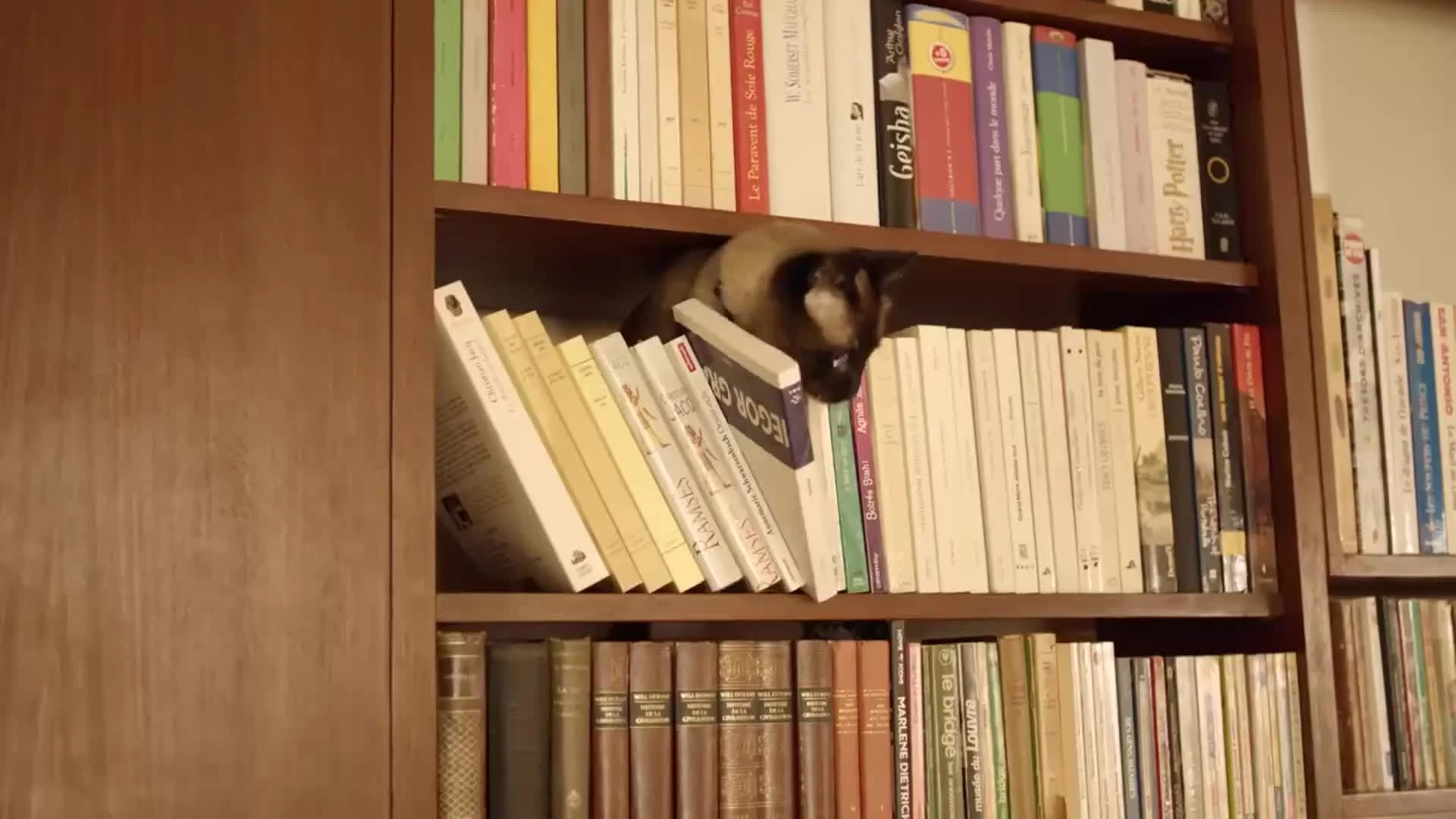 Related Video Item Thumbnail