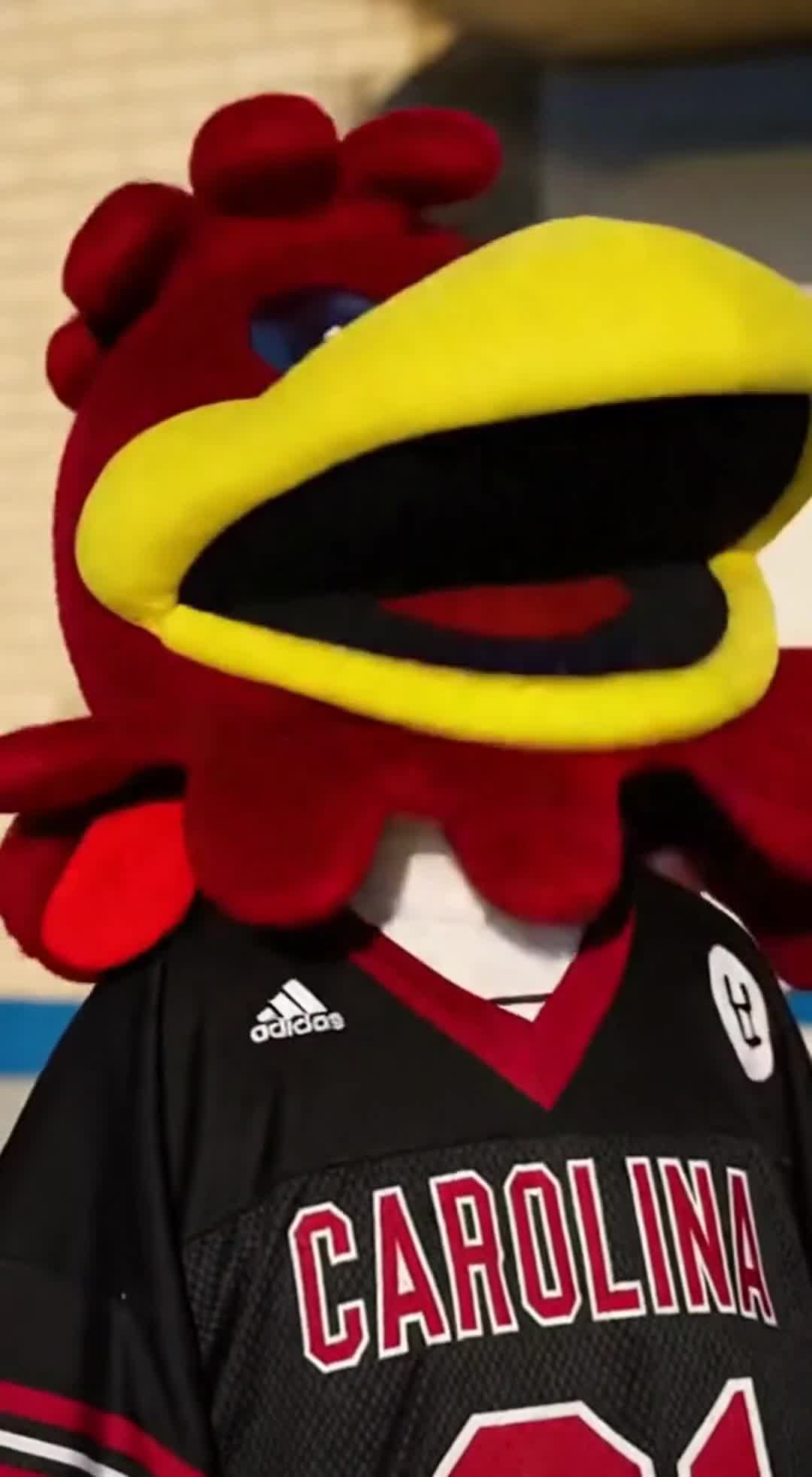 Related Video Item Thumbnail