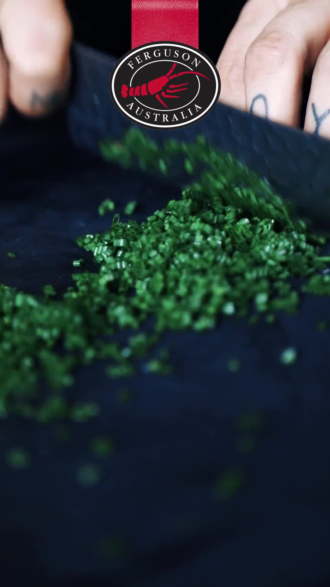 Related Video Item Thumbnail