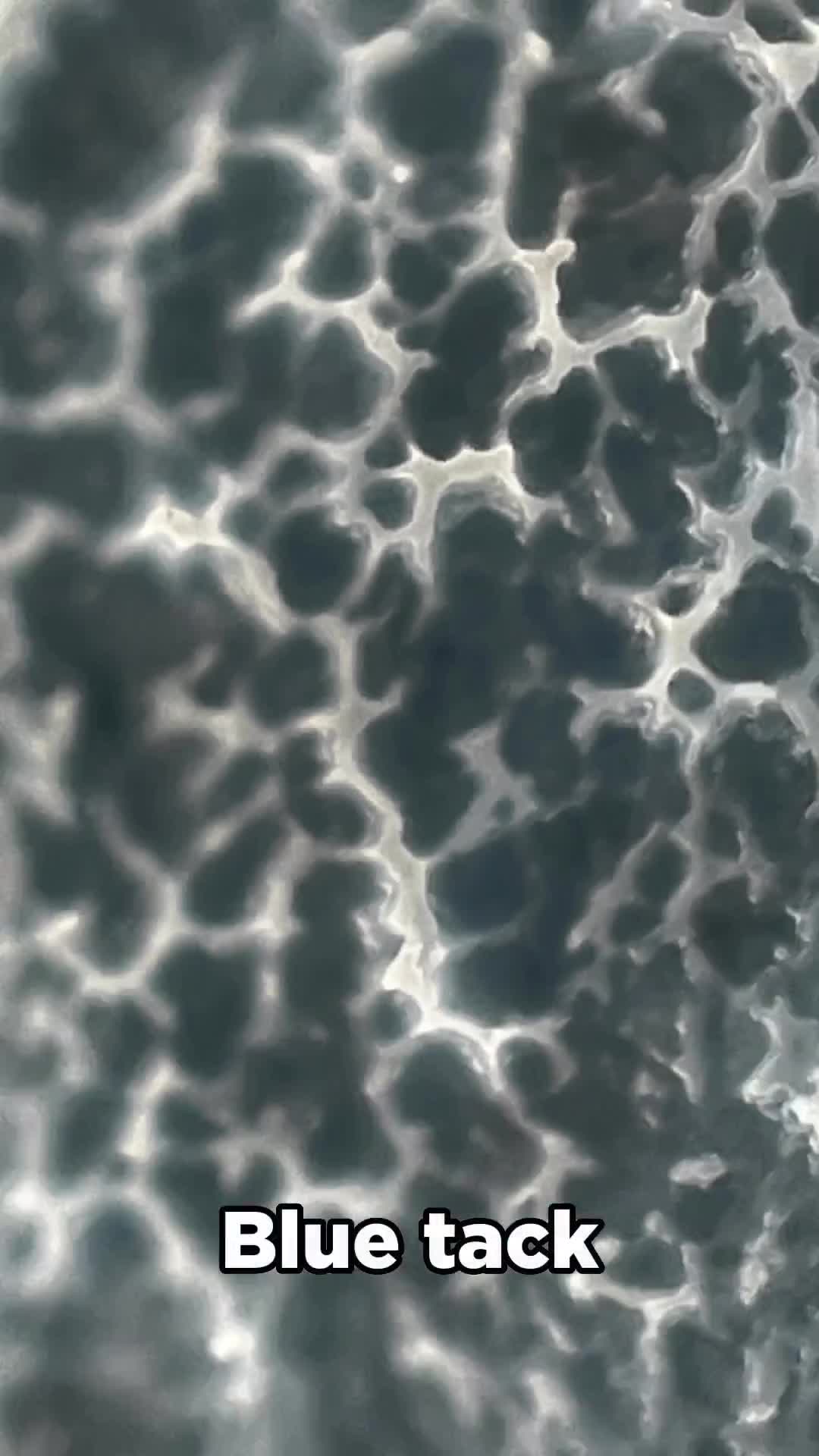 400x lens microscope review