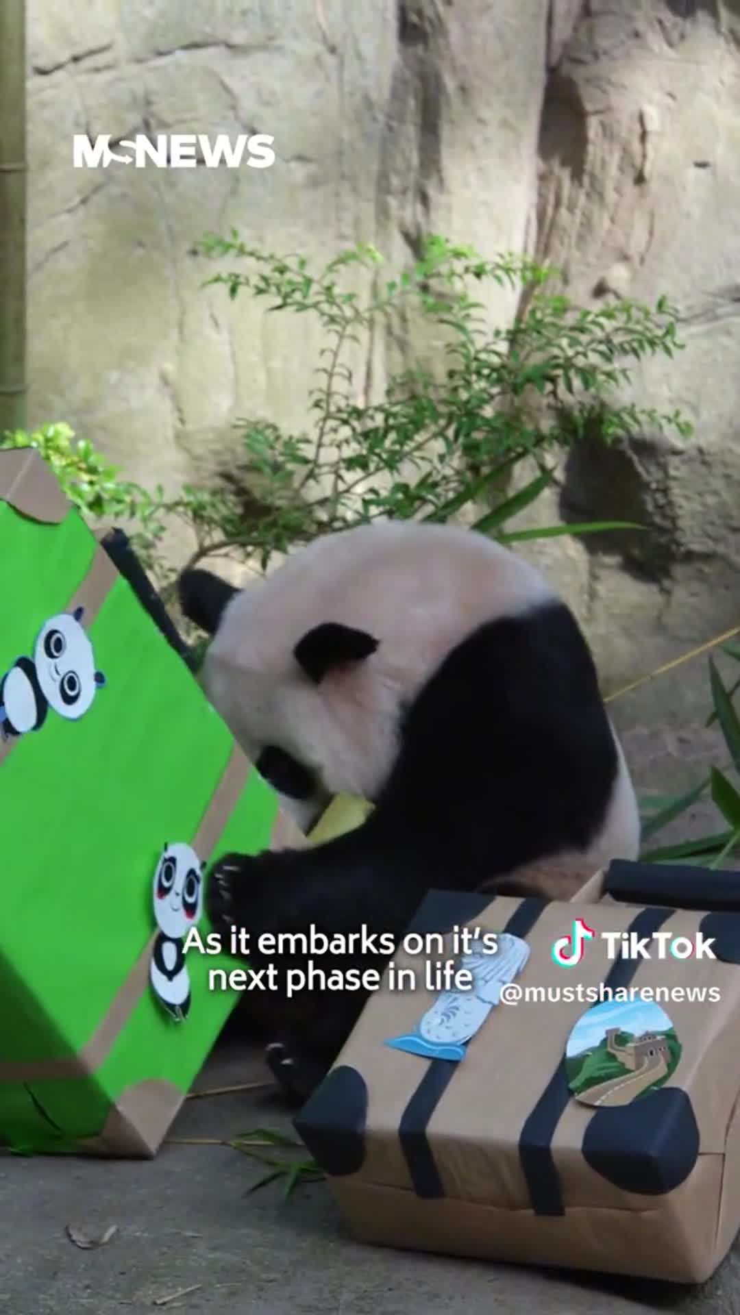 Related Video Item Thumbnail