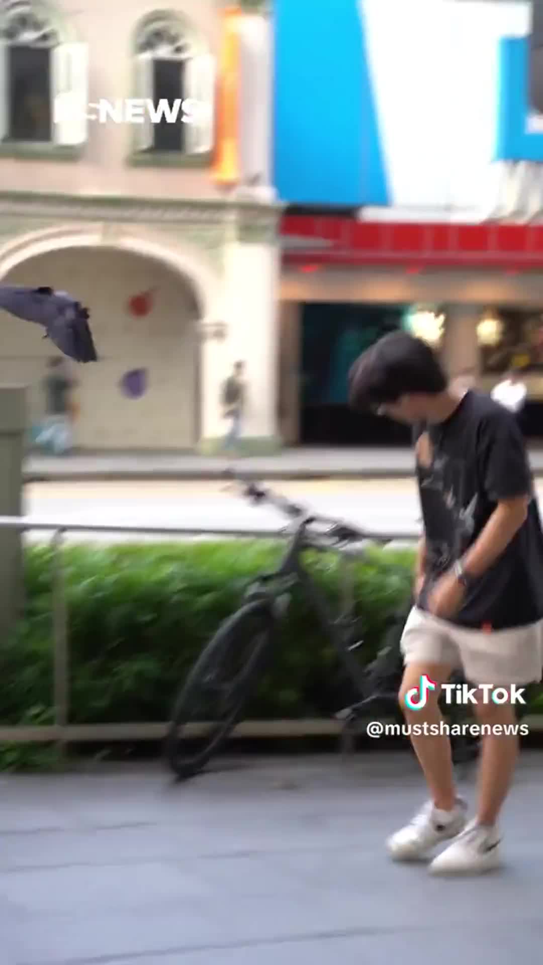 Crow attacks at Orchard