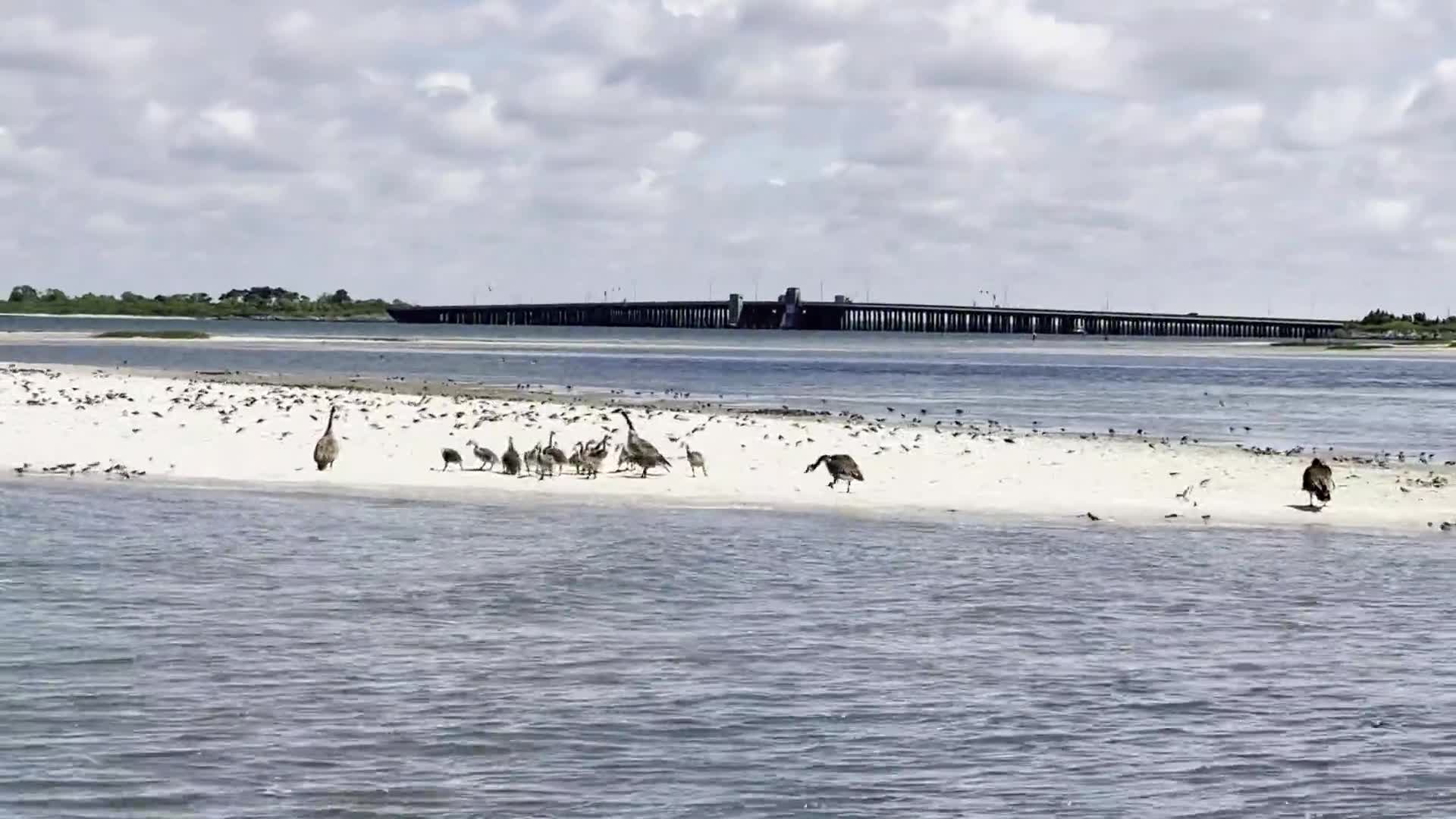 Related Video Item Thumbnail