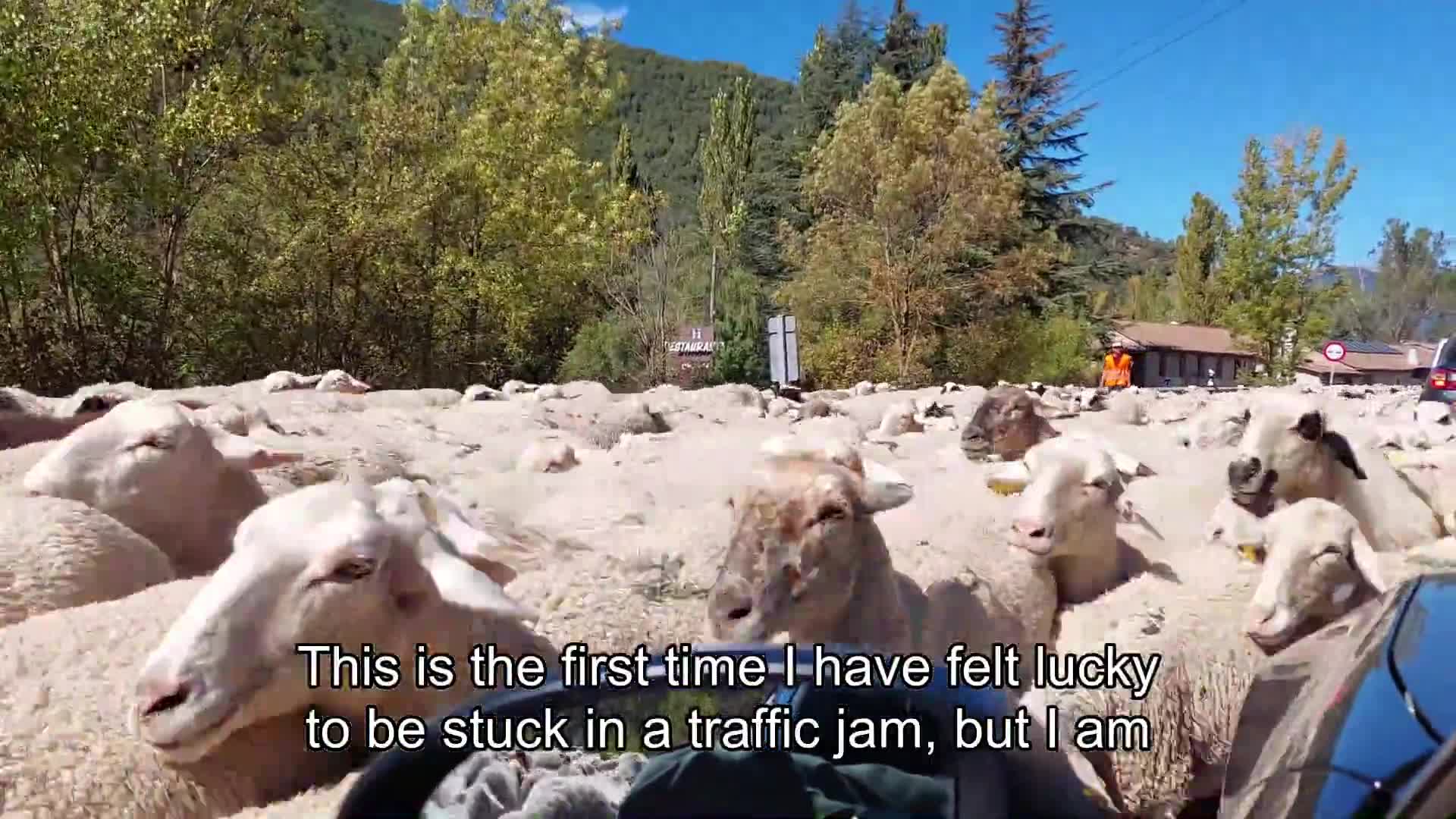 Related Video Item Thumbnail
