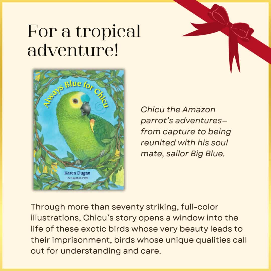 Related Video Item Thumbnail