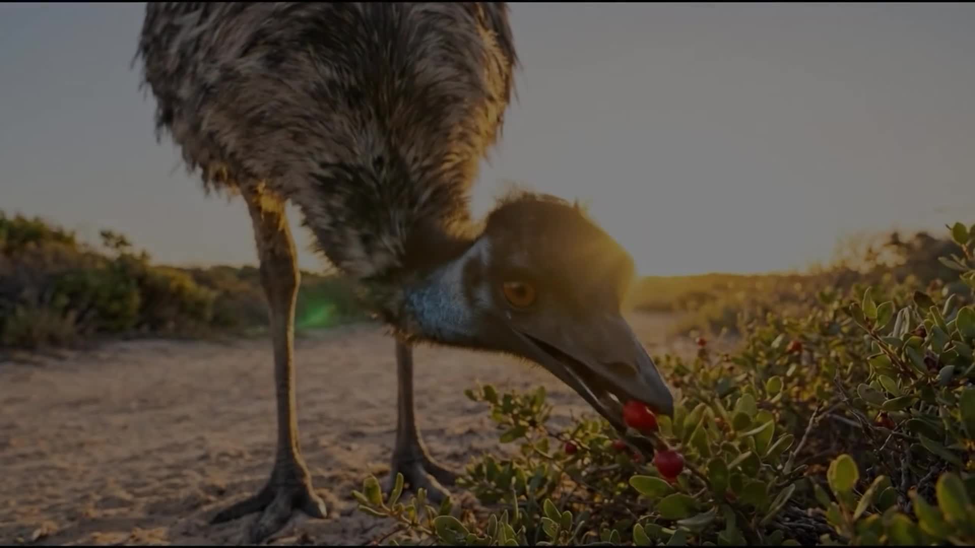 Related Video Item Thumbnail