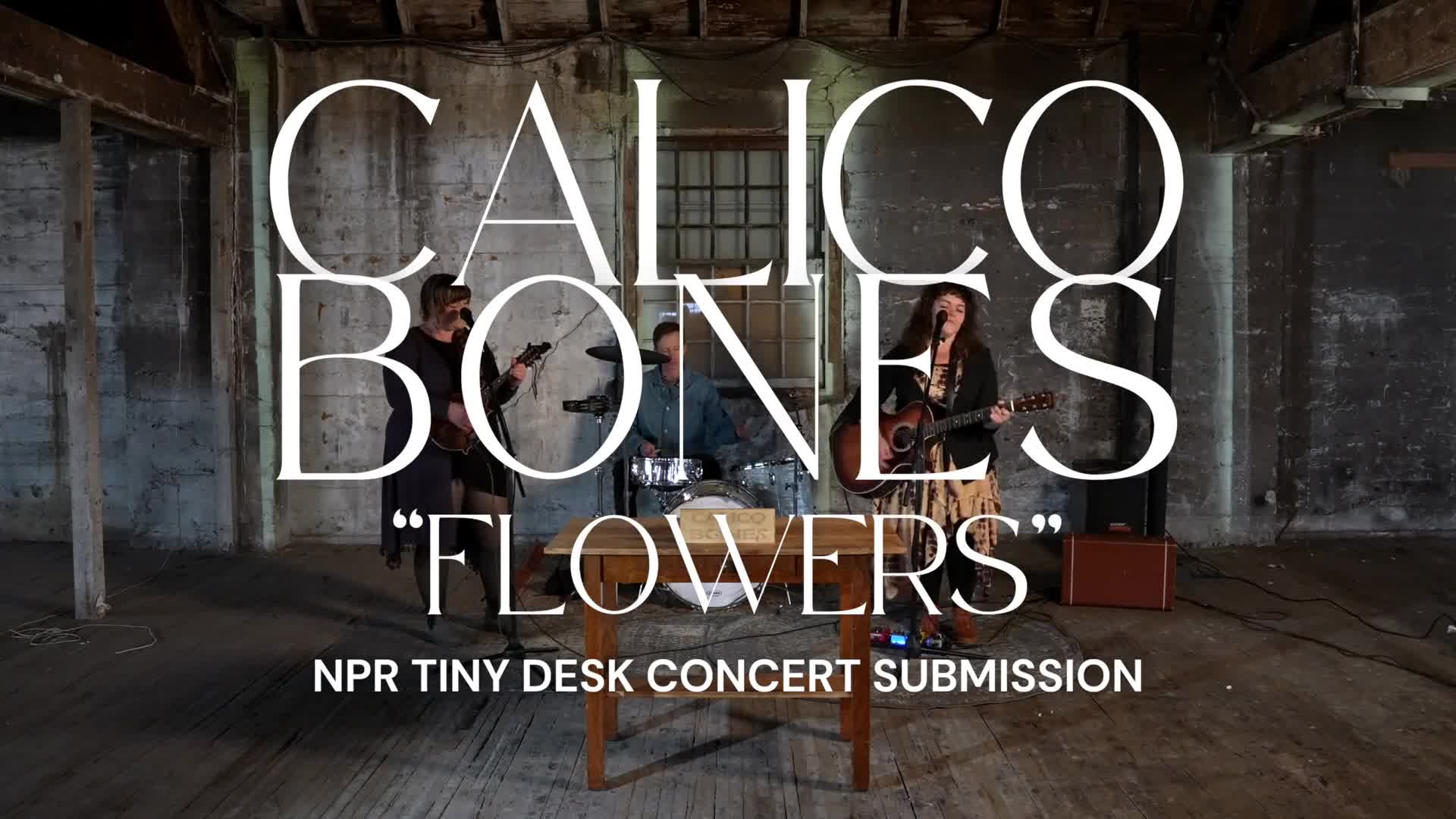 Calico Bones - NPR Tiny Desk