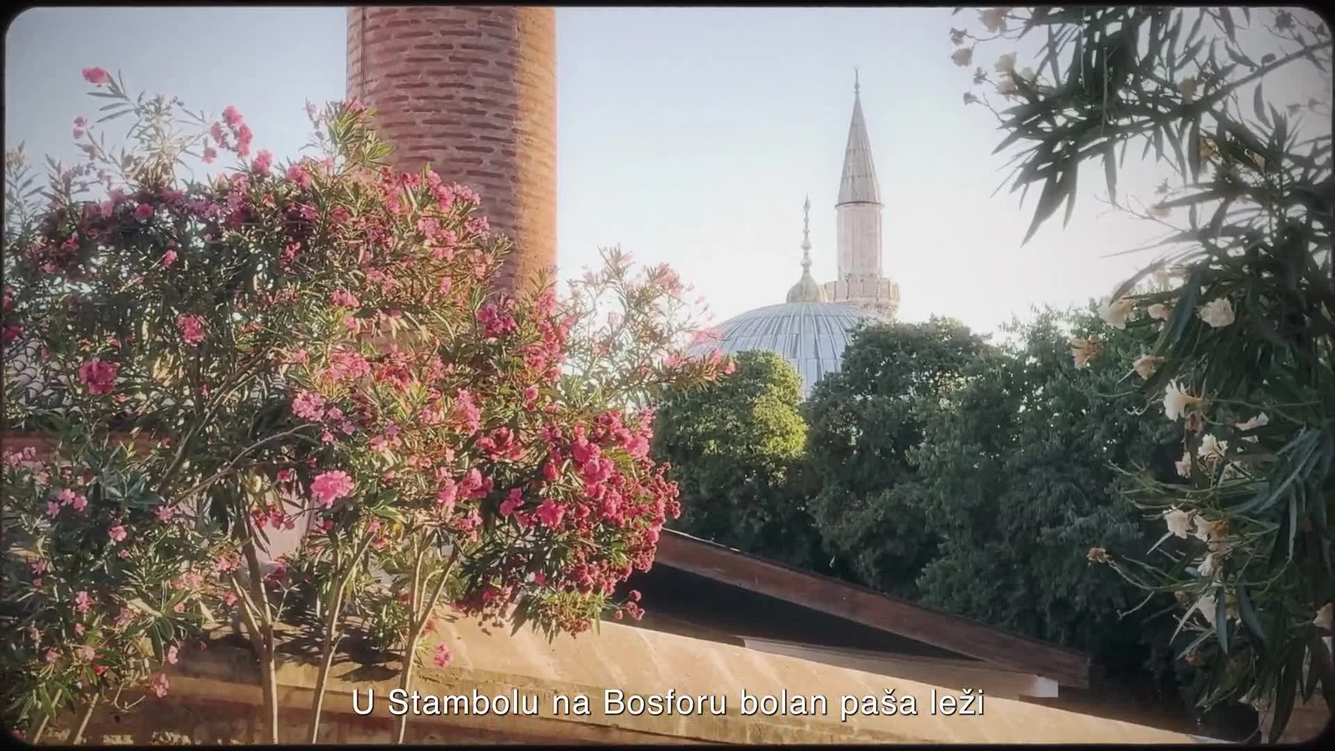 Related Video Item Thumbnail