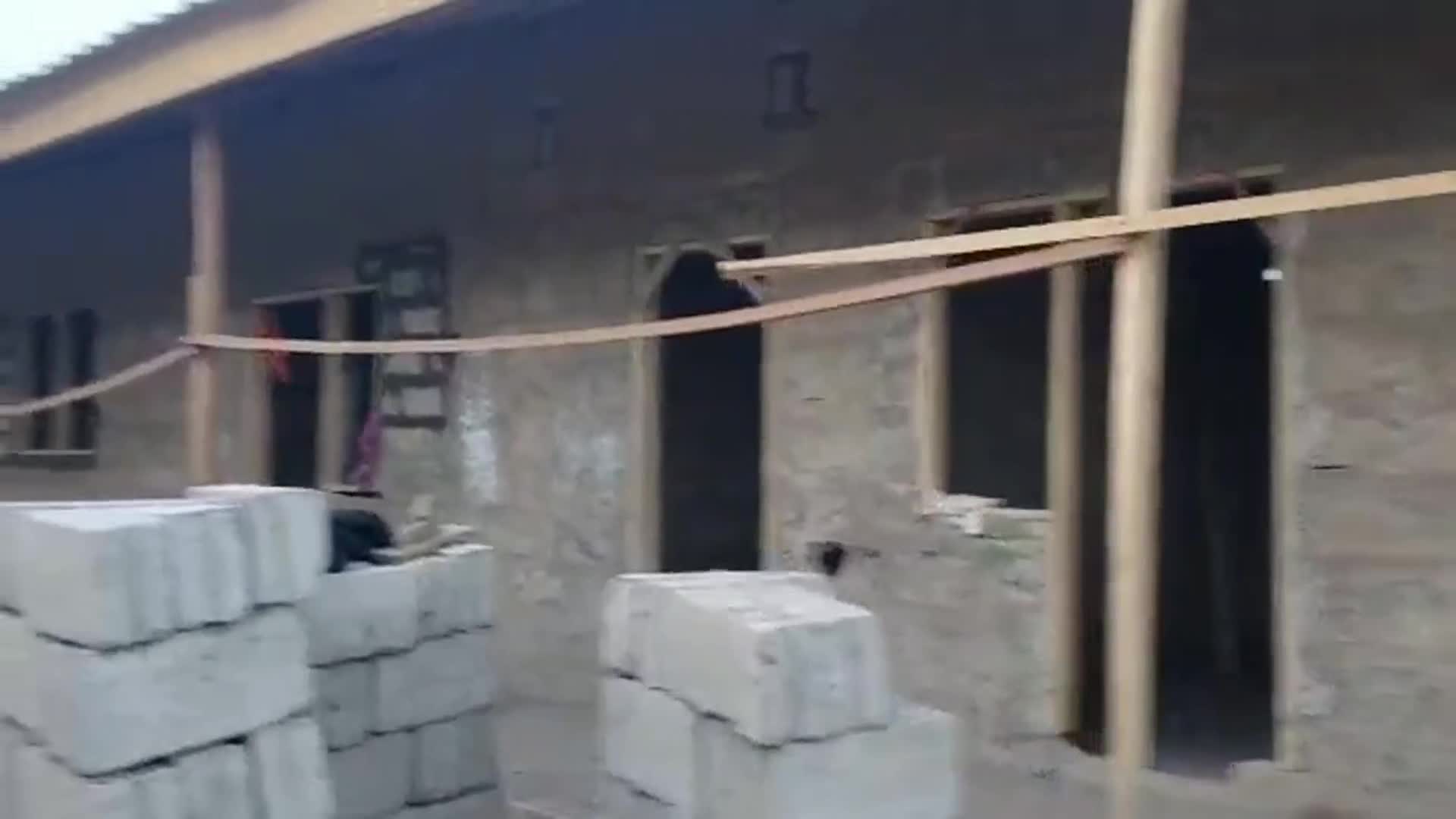 Related Video Item Thumbnail