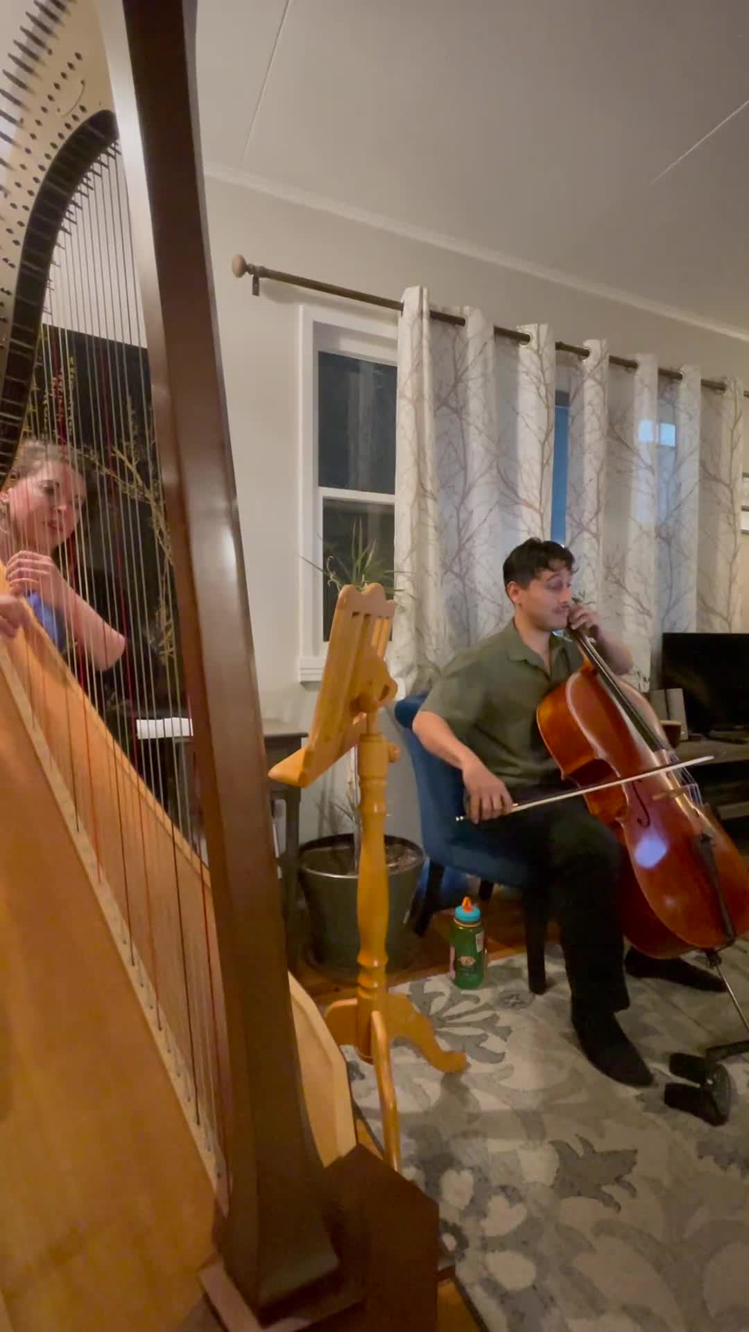 "Halo Theme" on harp and cello