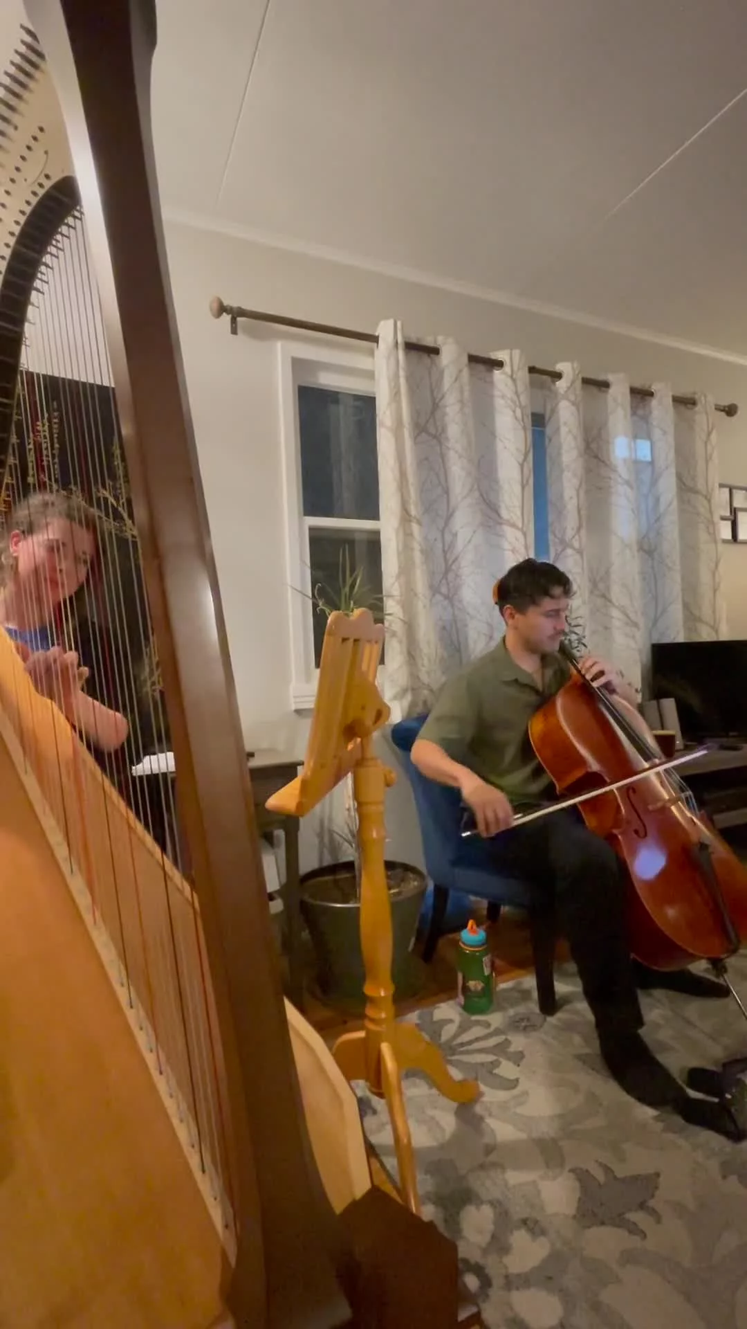 "Canon in D" by Johann Pachelbel on harp and cello (living room sessions)