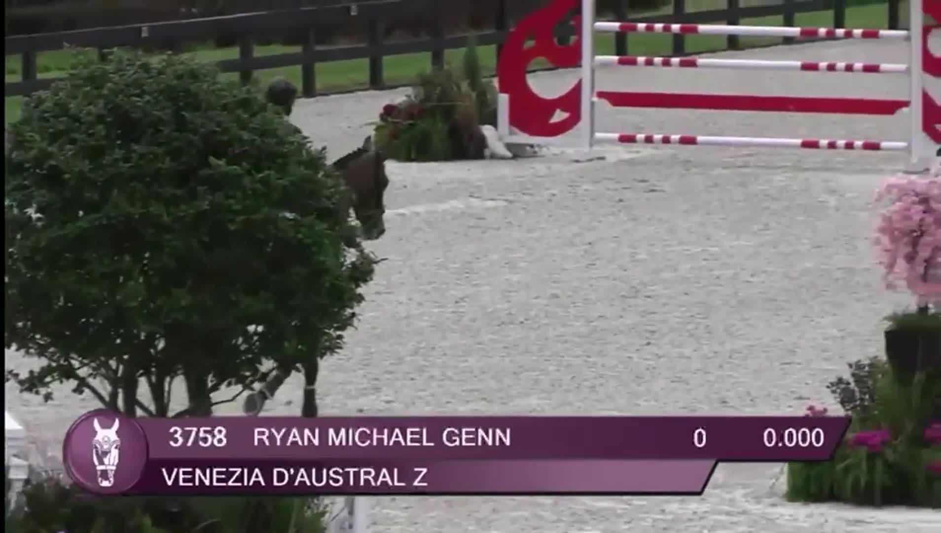 Related Video Item Thumbnail