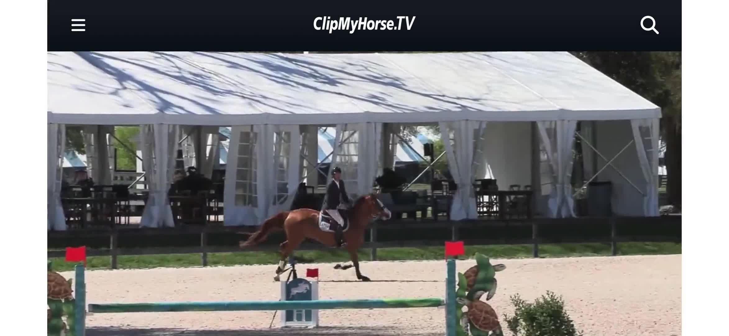 Related Video Item Thumbnail