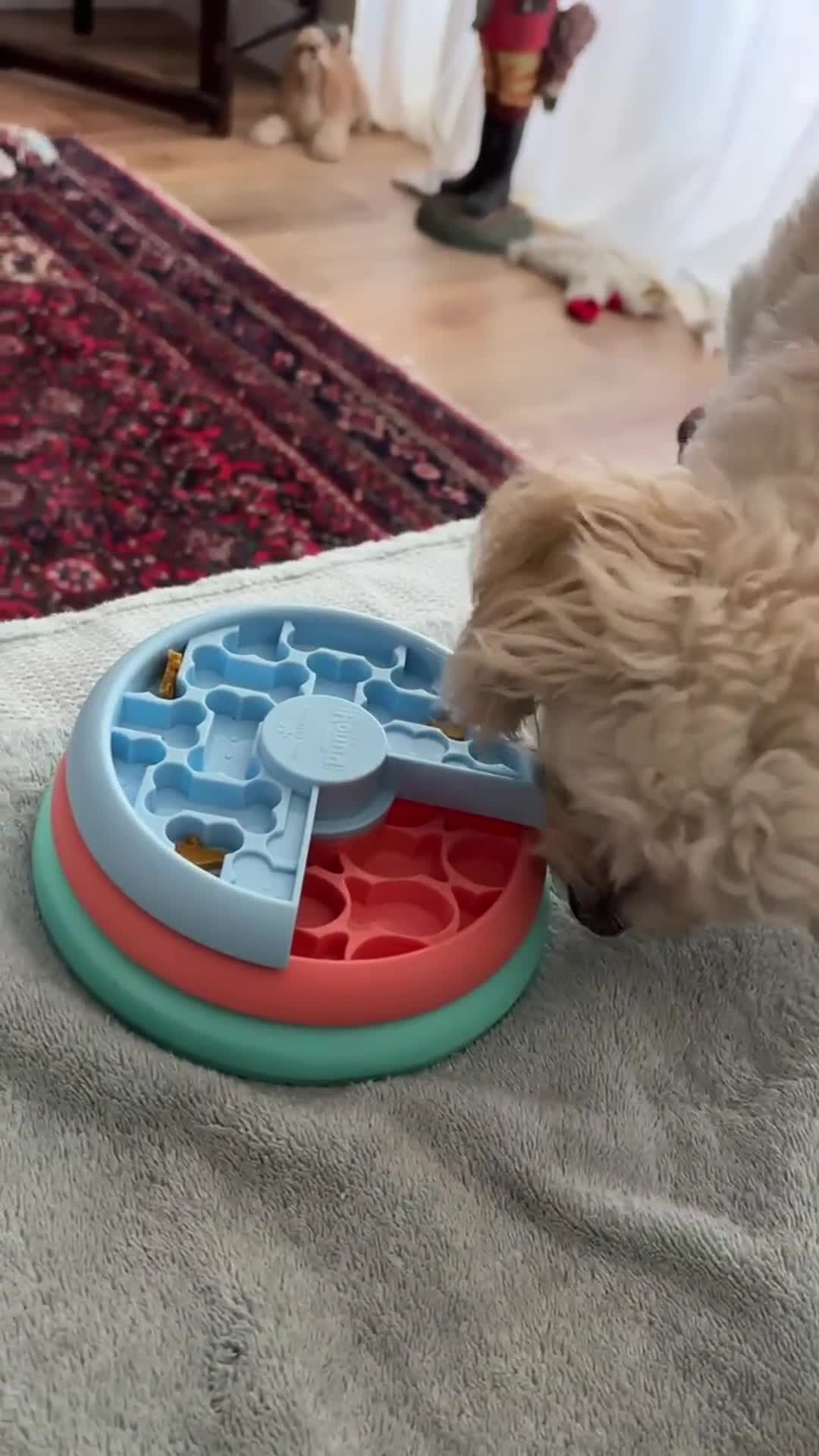 Related Video Item Thumbnail