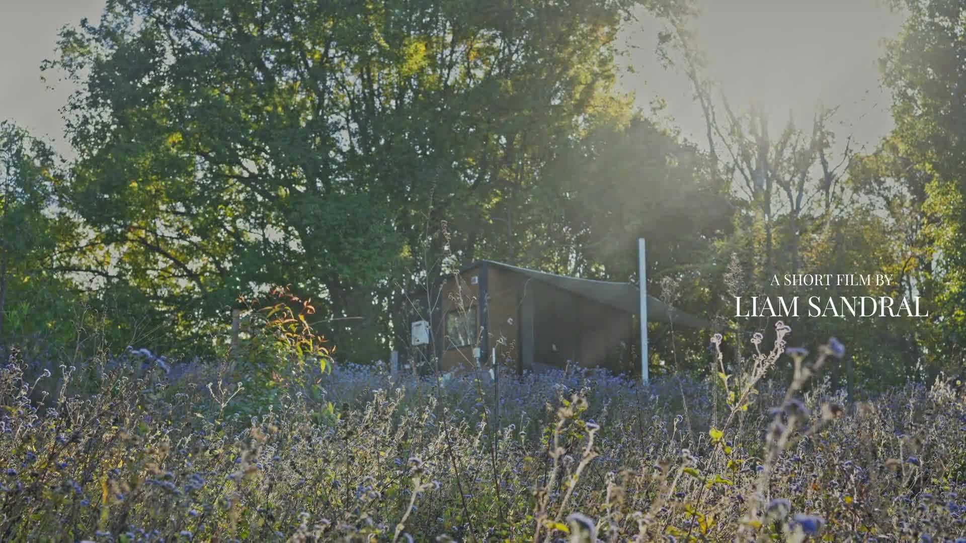 Related Video Item Thumbnail