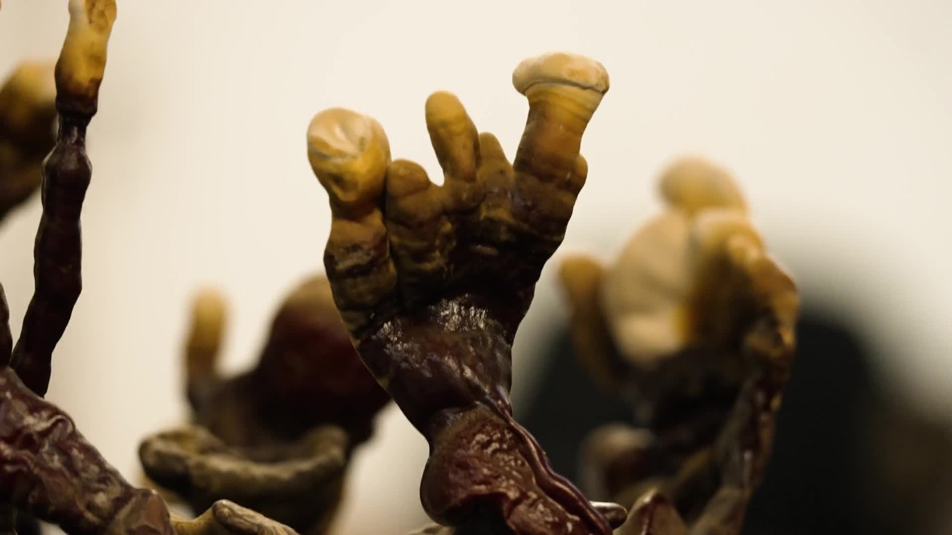 Related Video Item Thumbnail