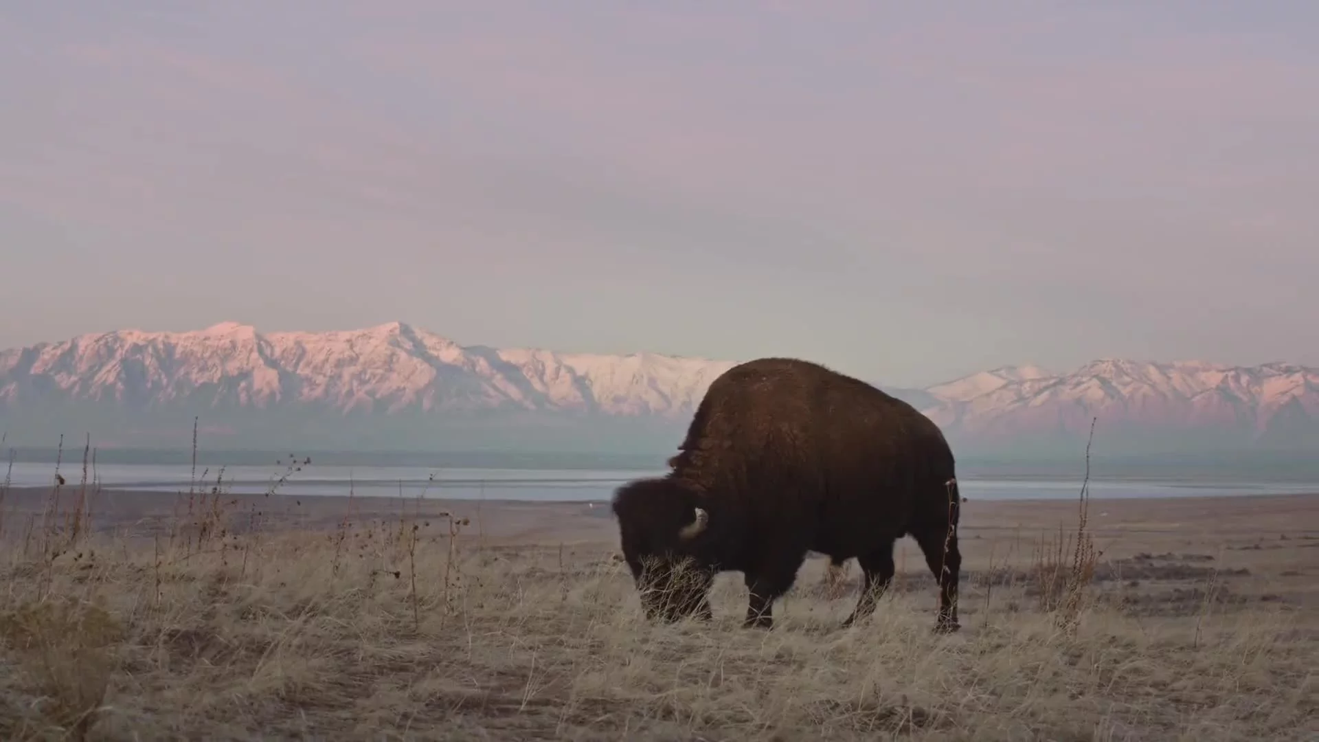 Related Video Item Thumbnail