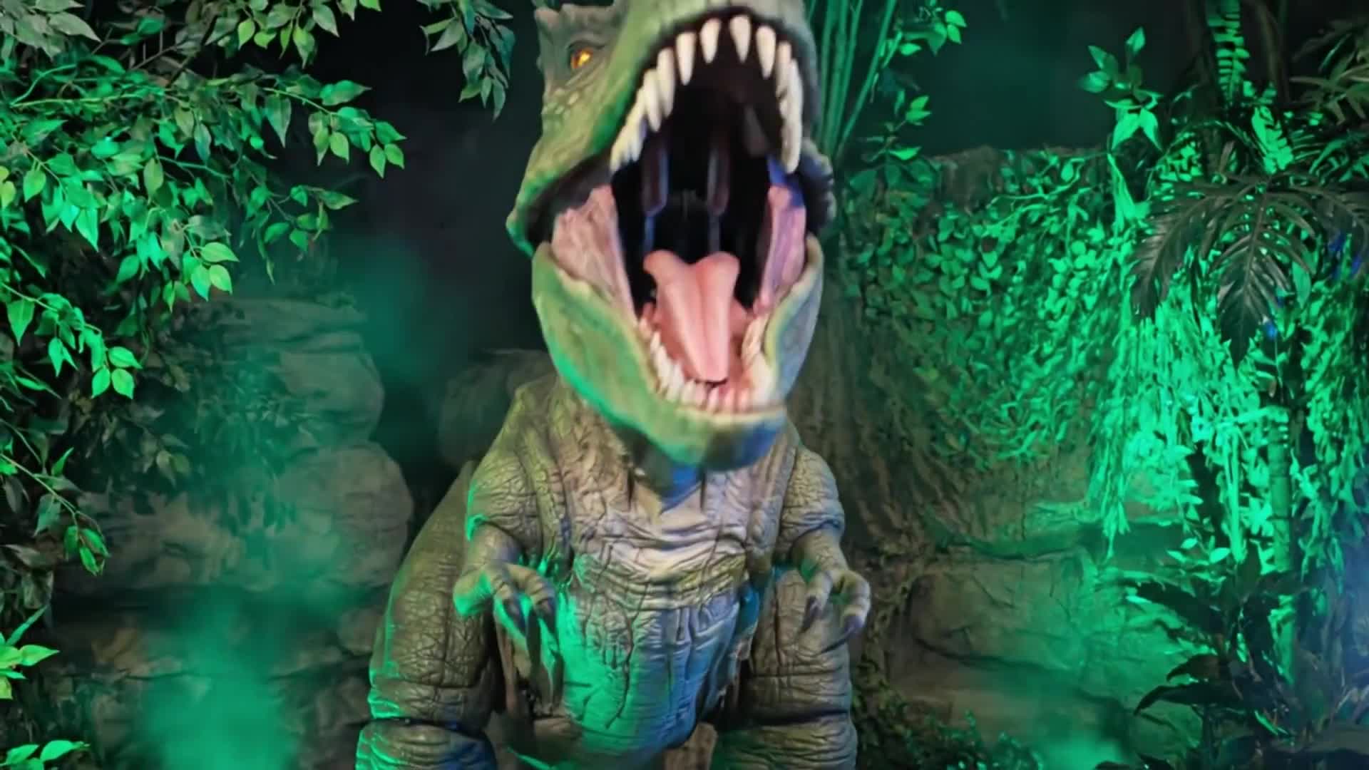 Related Video Item Thumbnail