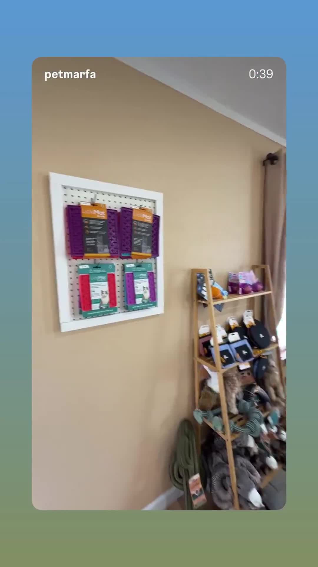 Related Video Item Thumbnail